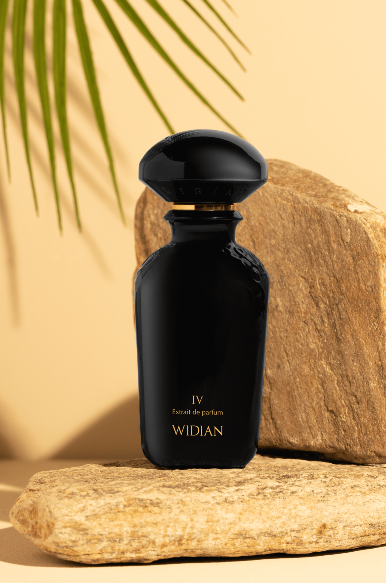 Black IV