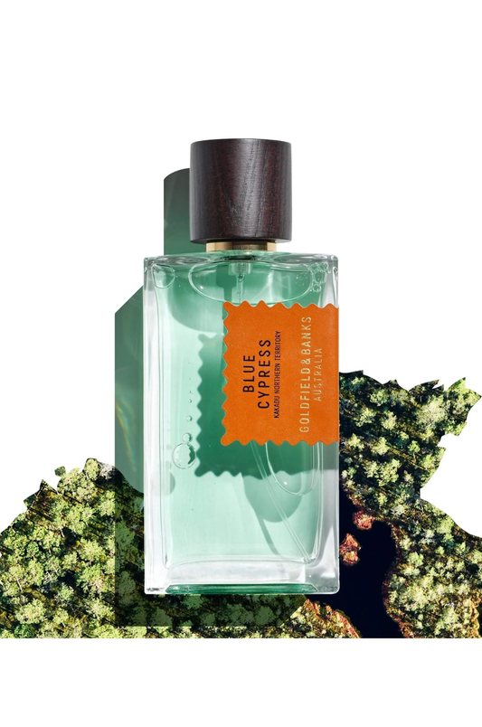 Blue Cypress