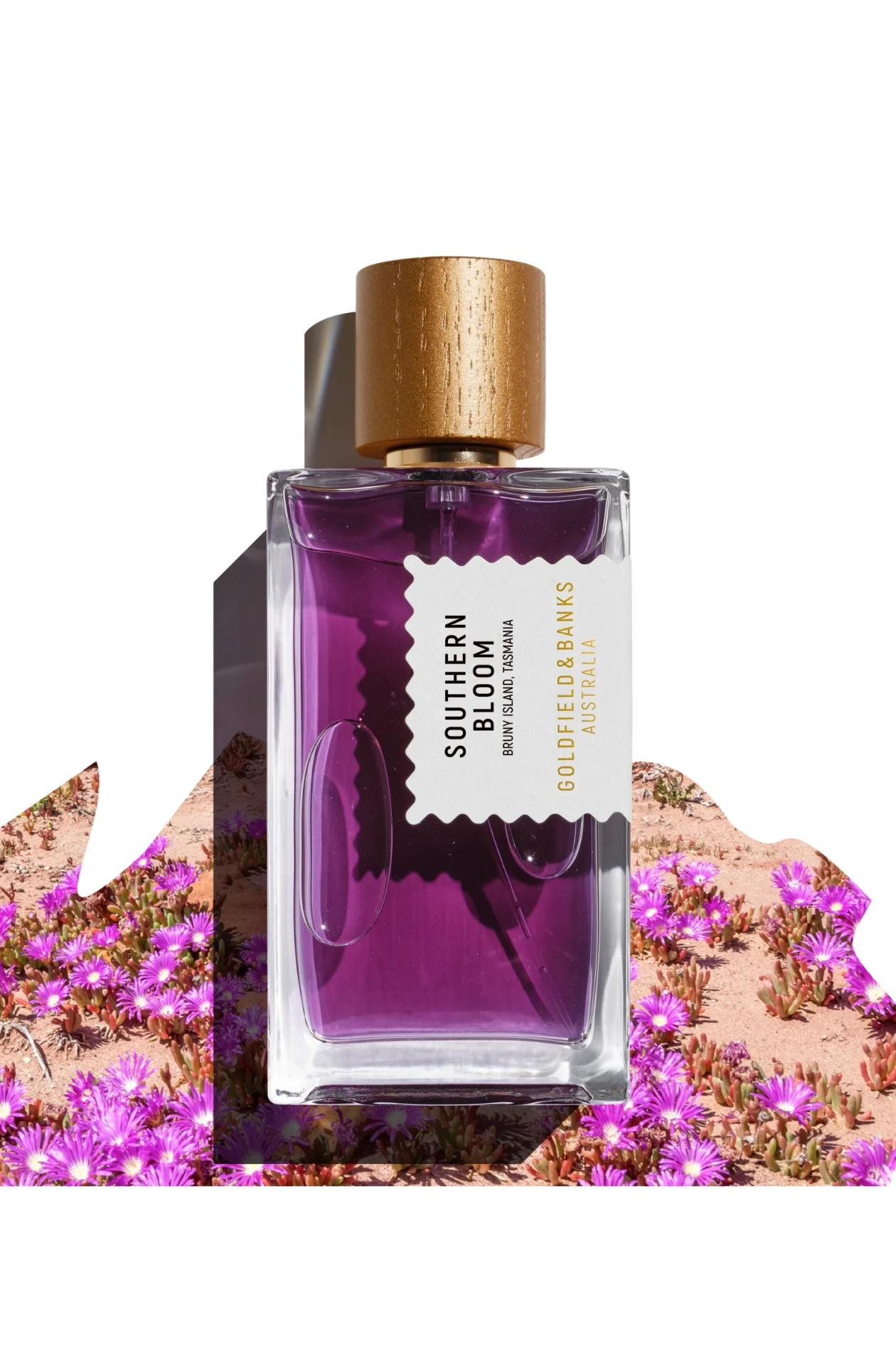 Southern Bloom