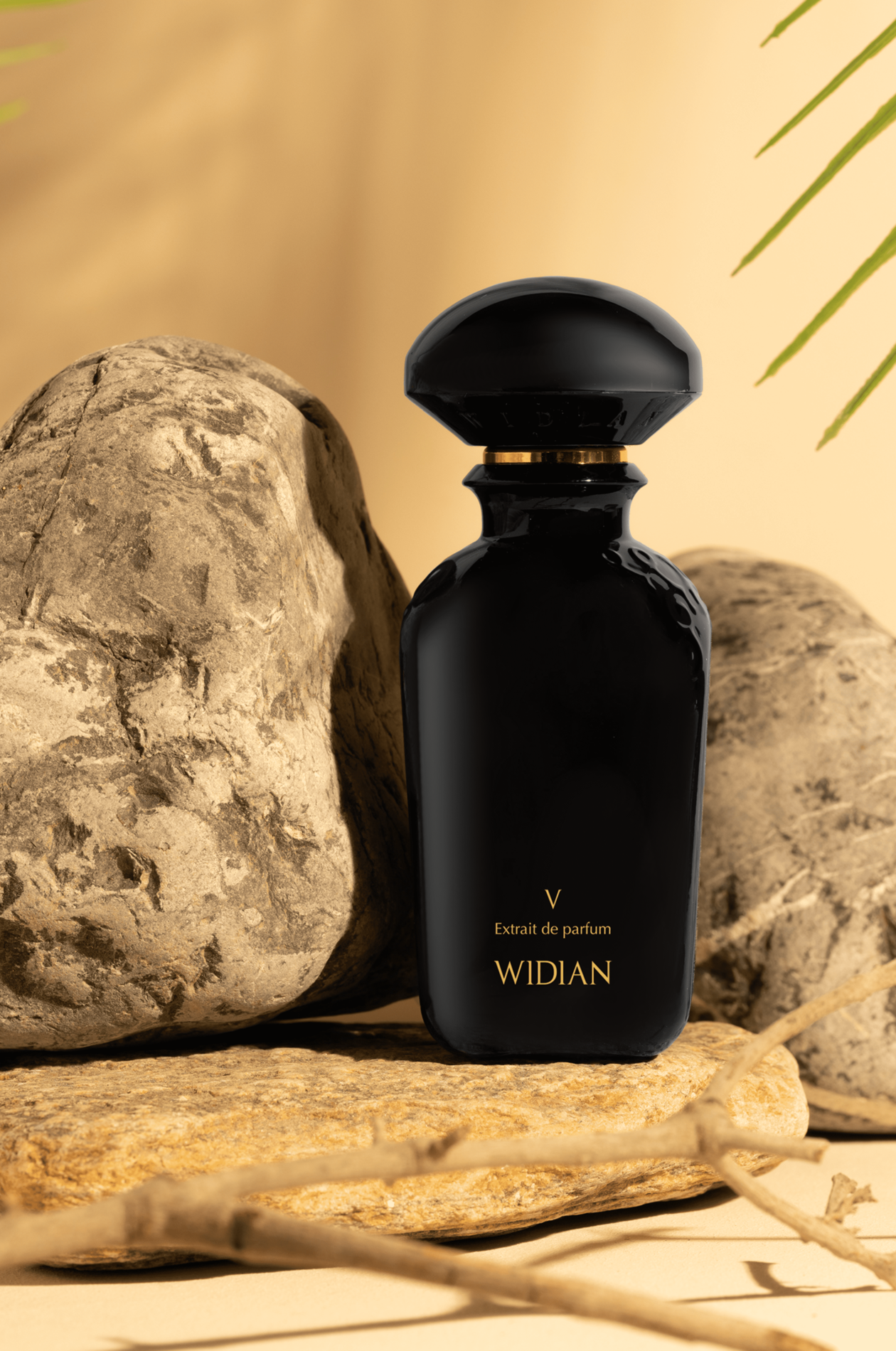 Black V